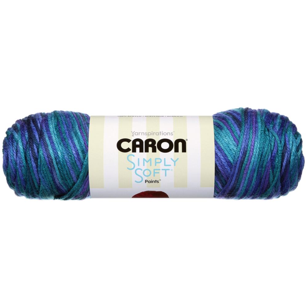 Caron Yarn | Simply Soft Paints, Large 5 Oz Skein in Painterly Colors Simply Soft Paints by Caron Yarn Designers Boutique