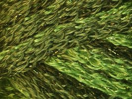 Metallic Yarn Knitting Fever Flounce Metallic Ruffling Mesh Yarn olive green ruffling yarn