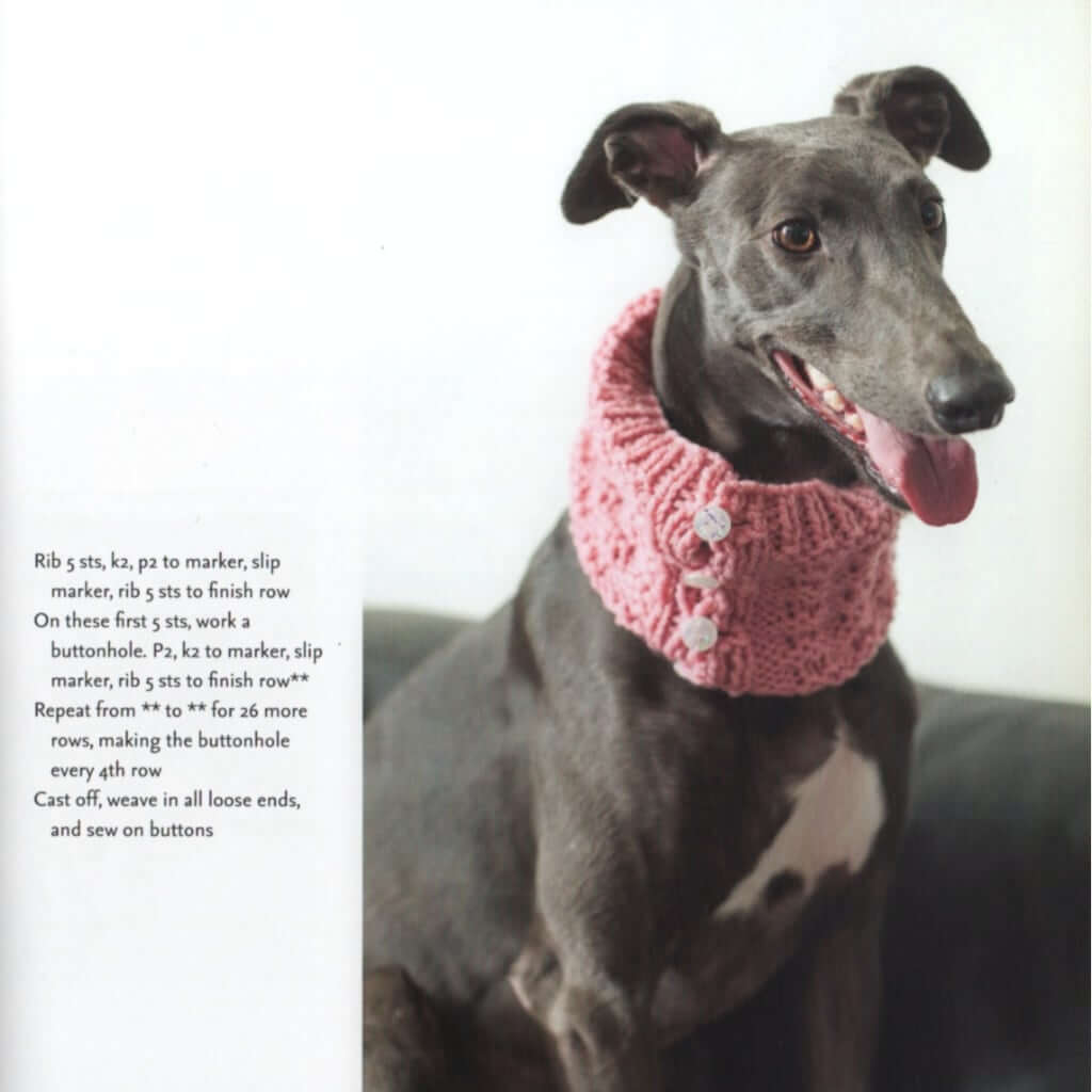 Dog Knitting Patterns | Outrageously Adorable Dog Knits Outrageously Adorable Dog Knits: 25 Must-Have Styles for the Pampered Pooch Yarn Designers Boutique