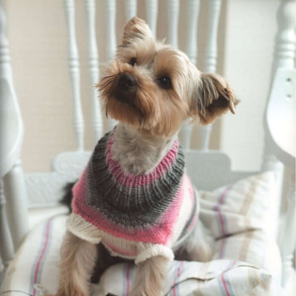 Dog Knitting Patterns | Outrageously Adorable Dog Knits Outrageously Adorable Dog Knits: 25 Must-Have Styles for the Pampered Pooch Yarn Designers Boutique