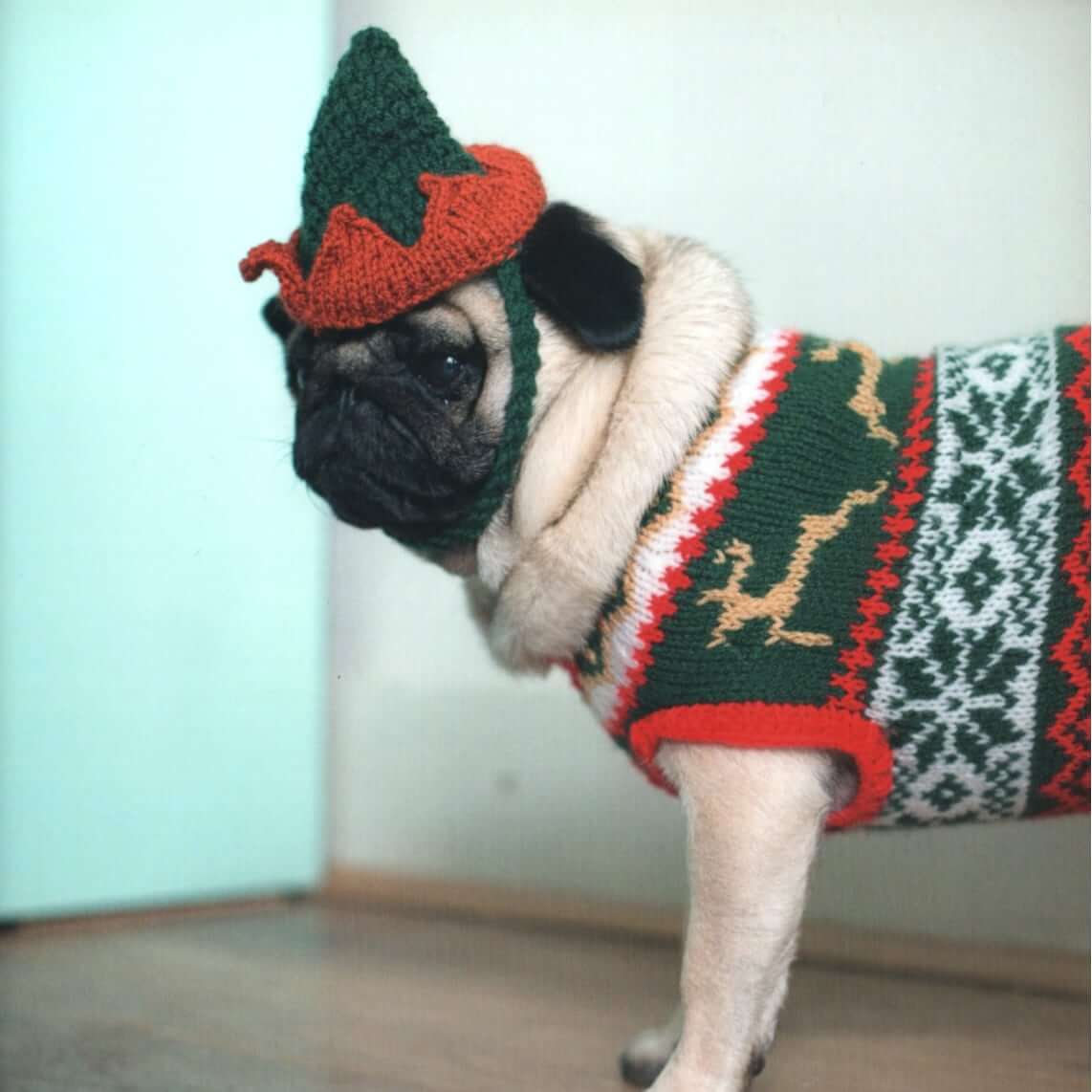 Dog Knitting Patterns | Outrageously Adorable Dog Knits Outrageously Adorable Dog Knits: 25 Must-Have Styles for the Pampered Pooch Yarn Designers Boutique