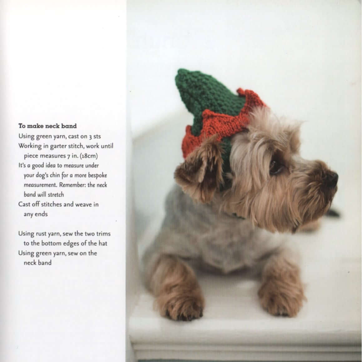 Dog Knitting Patterns | Outrageously Adorable Dog Knits Outrageously Adorable Dog Knits: 25 Must-Have Styles for the Pampered Pooch Yarn Designers Boutique