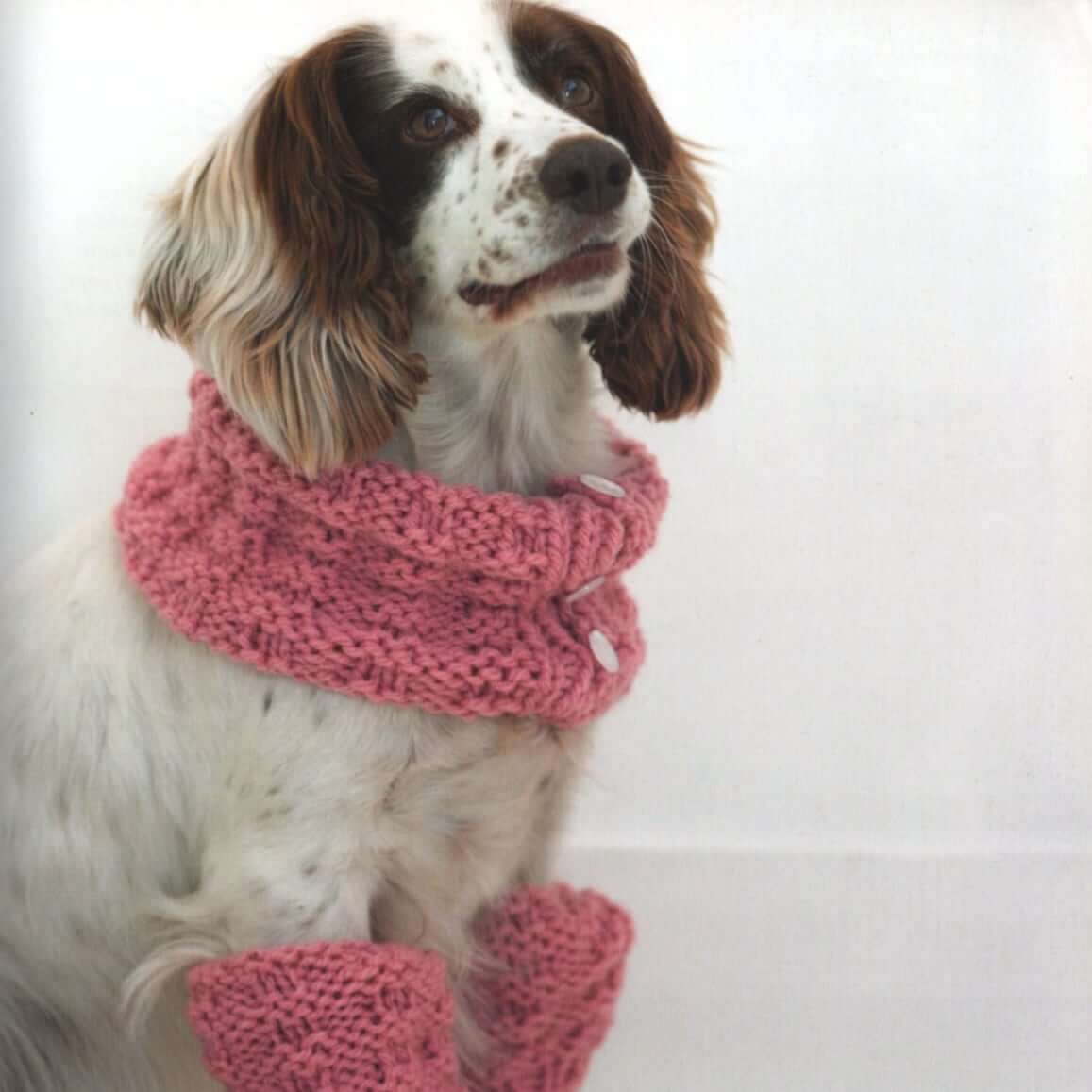 Dog Knitting Patterns | Outrageously Adorable Dog Knits Outrageously Adorable Dog Knits: 25 Must-Have Styles for the Pampered Pooch Yarn Designers Boutique