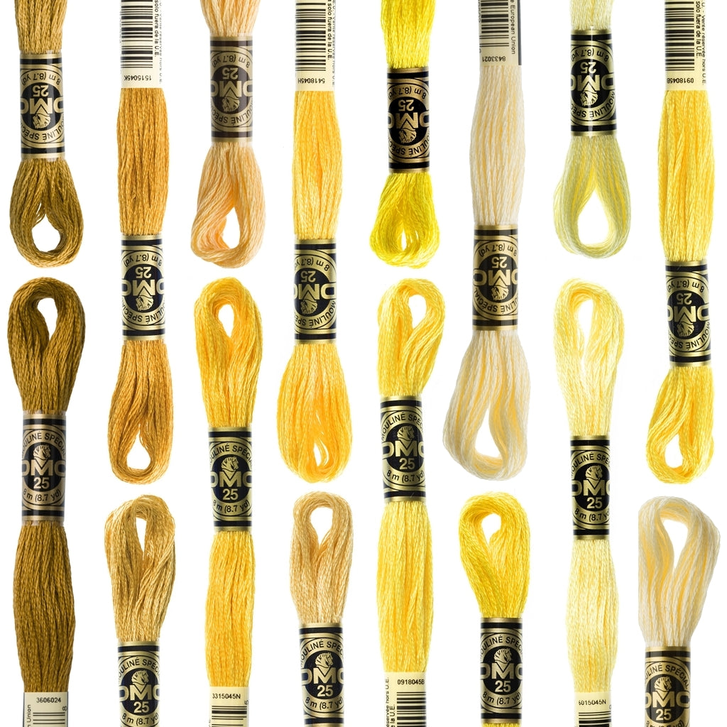 Embroidery Thread | DMC Embroidery Floss Cotton 6-Strand Yellows DMC 6 Strand Cotton Embroidery Floss Yellows & Golds Yarn Designers Boutique