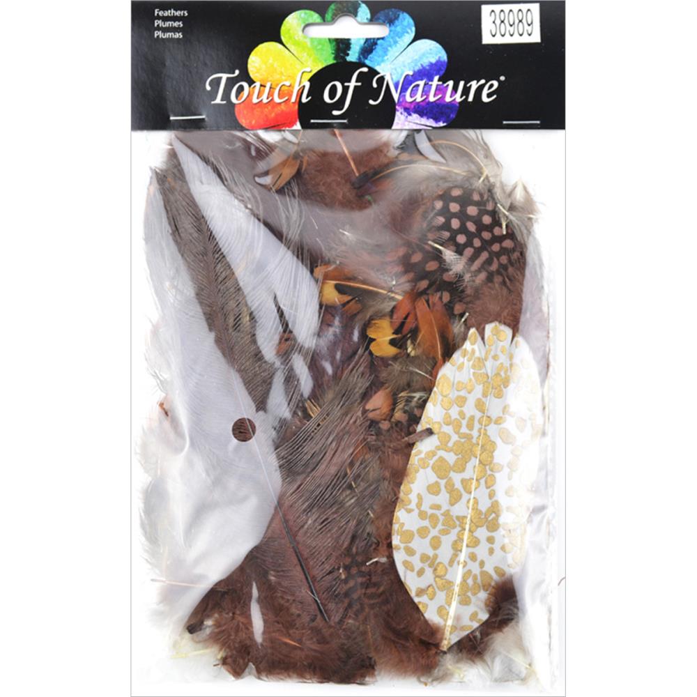 Craft Feathers Assorted Package of Natural Feathers, Touch of Nature