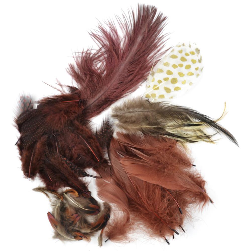 Craft Feathers Assorted Package of Natural Feathers, Touch of Nature