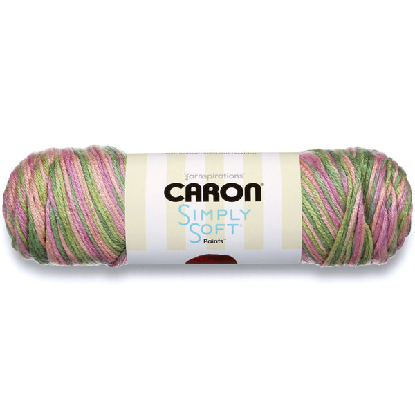Caron Yarn  Simply Soft Paints, Large 5 Oz Skein in Painterly Colors