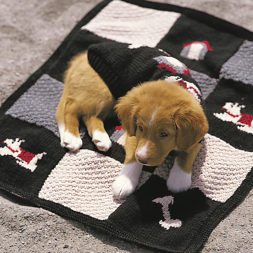 Dog Sweaters Patons A Dog's Life, Knitting Pattern Book Bone Blanket & Dog Sweater