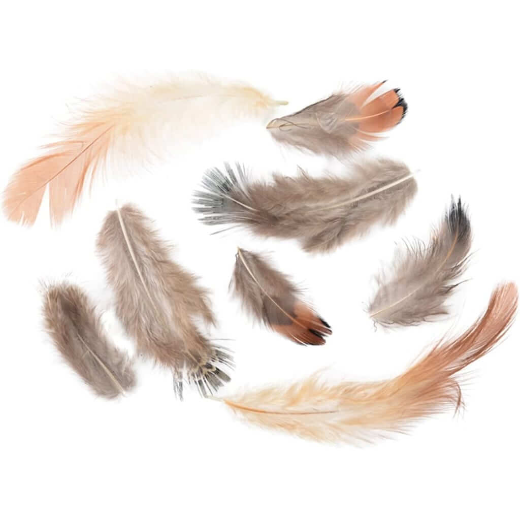 Feathers for Crafting | Assorted Feathers Touch of Nature, Tans Browns  yarn designers boutique