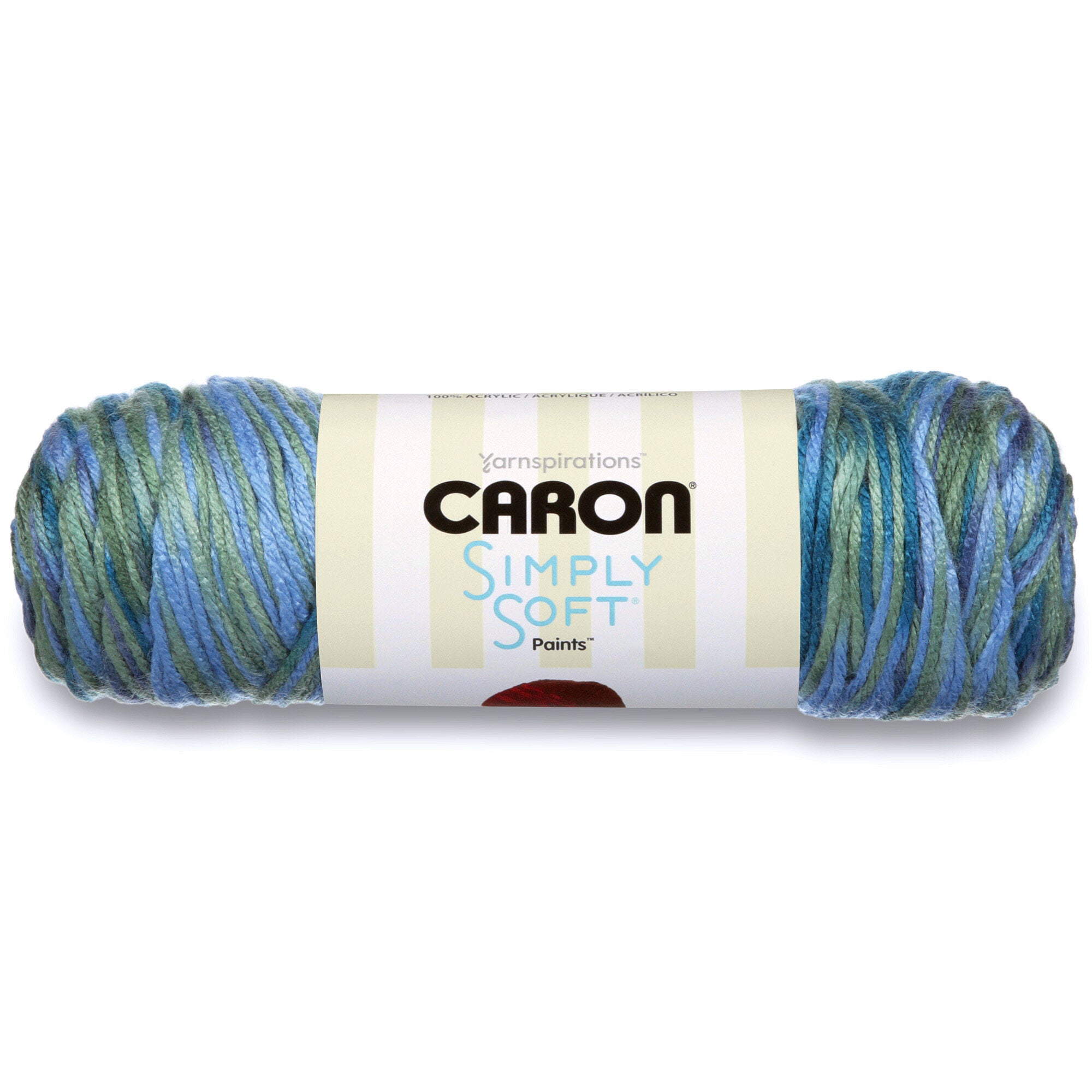 Caron Yarn | Simply Soft Paints, Large 5 Oz Skein in Painterly Colors Simply Soft Paints by Caron Yarn Designers Boutique