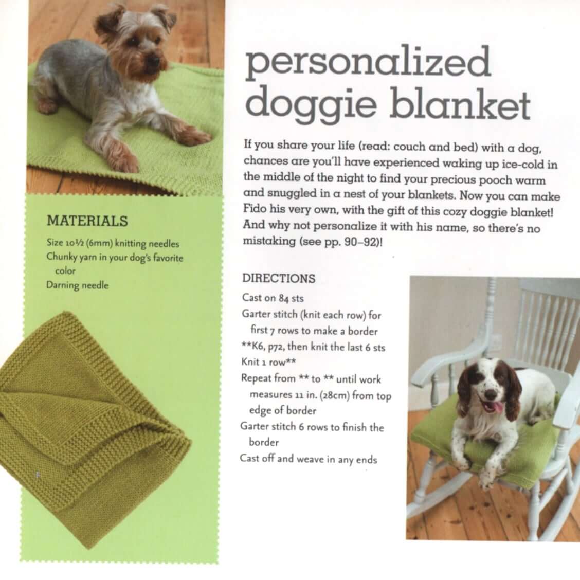 Pampered pooch: Addresses and accessories for your dog
