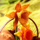 Twenty to Make, Knitted Flowers, Knitting Pattern Book by Susie Johns Twenty to Make Knitted Flowers Yarn Designers Boutique
