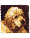 Latch Hook, Adorable Golden Lab Puppy | Latch Kits for Kids & Adults Golden Lab Latch Hook Kit, 12" x 12" Yarn Designers Boutique